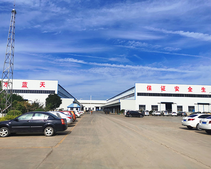 Company profile